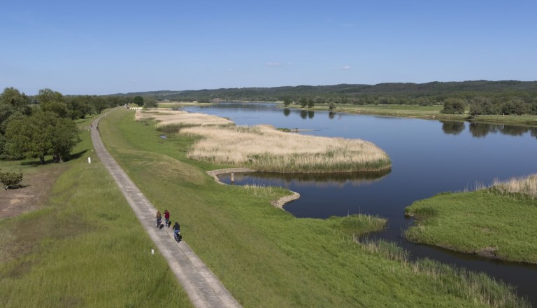 Der Nationalpark Unteres Odertal