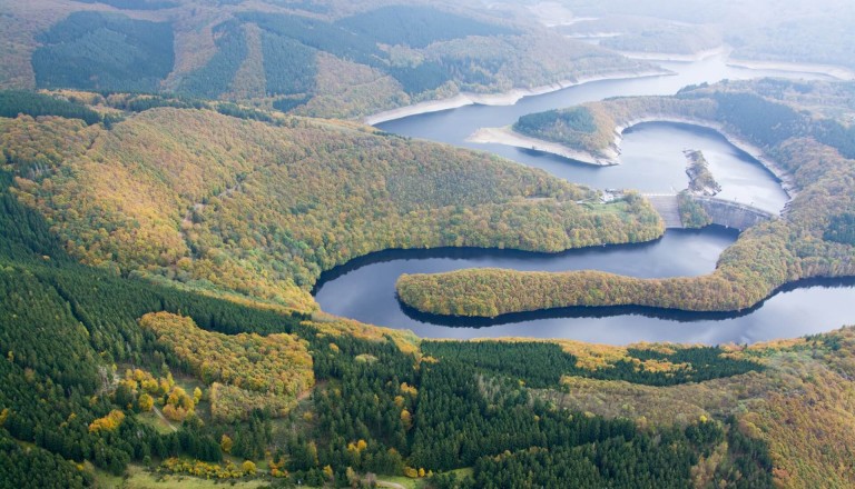 Der Urftstausee im Nationalpark Eifel.