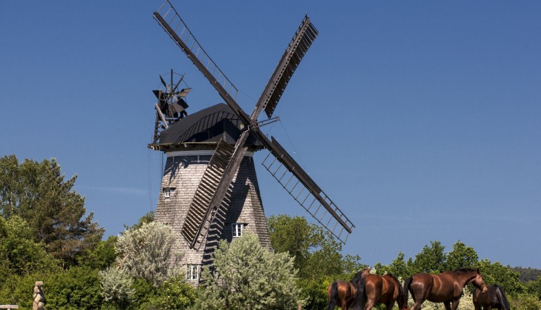 Die holländische Windmühle in Benz auf Usedom.