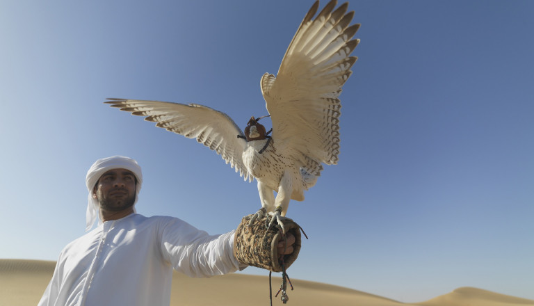 Die Verinigten Arabischen Emirate - Greifen Sie zu!