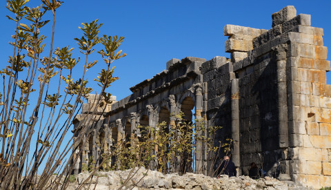 Die antiken Ruinen von Volubilis