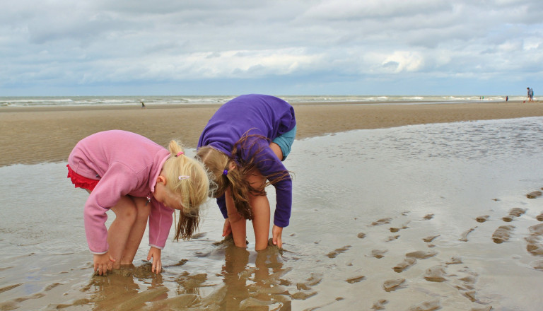 Wattenmeer