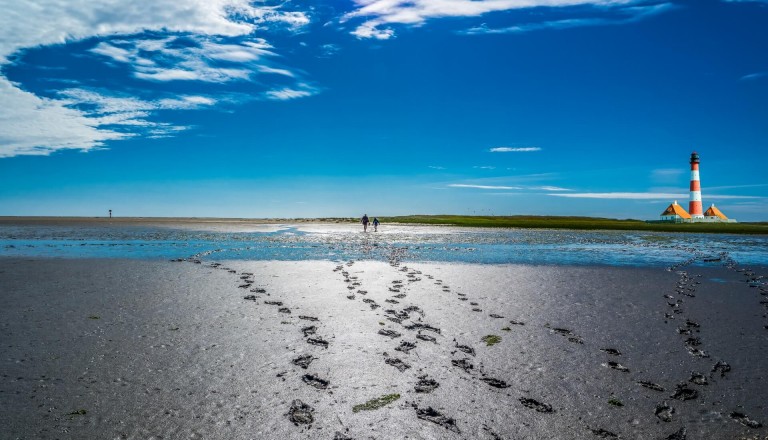 Der Nationalpark Wattenmeer auf Sylt.