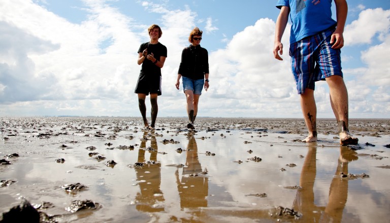 Wattwanderung Nordsee