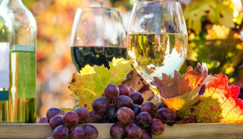 Weinprobe im Herbst