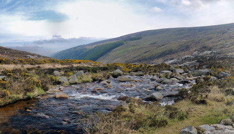 Wicklow Mountains