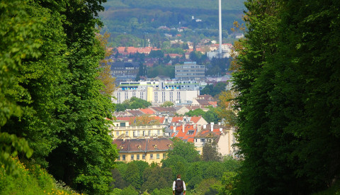 Wandern in Wien