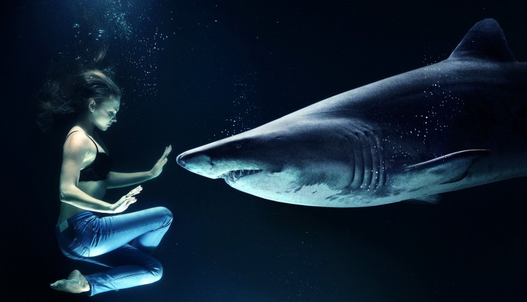 Frau taucht mit Hai