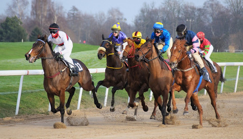 Sport in Zagreb